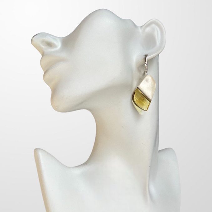 Elegant abstract shaped earrings in biredium horn and clear amber