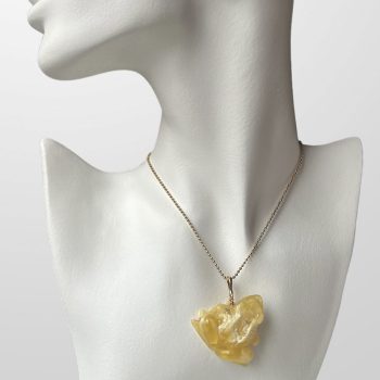 Stylish Engraved Landscape Amber Necklace - Peat Frog