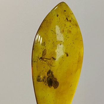 Fine drop-shaped clear amber pendant with inlays