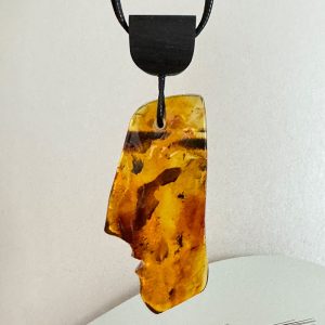 Išraiškingas juodojo ąžuolo ir skaidraus gintaro su inkliuzais kaklo pakabukas