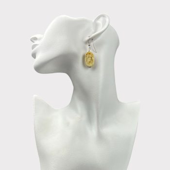 Delicate oval shaped landscape amber earrings with natural bark