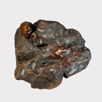 Exceptional collectible amber piece with natural inclusions and bark 1976 g