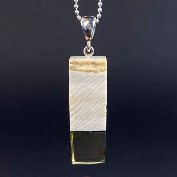 Gorgeous set of engraved elk horn and clear amber earrings and necklace