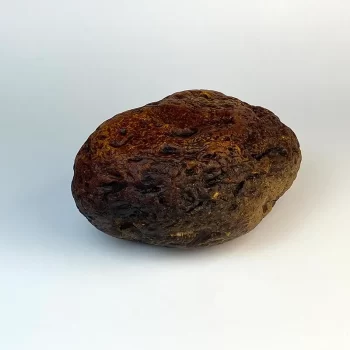 Išskirtinis kolekcinis gintaro gabalas 1523 g 2