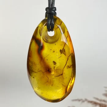 Stylish clear amber with ant inlay men's necklace