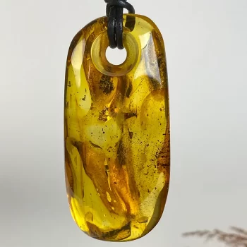 Stylish clear amber with mosquito inlay men's necklace