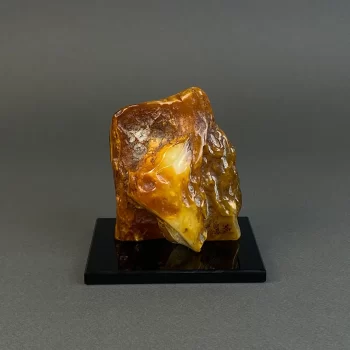 Amber piece 307 g