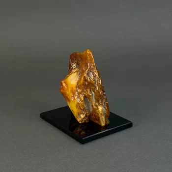 Amber piece 307 g 4