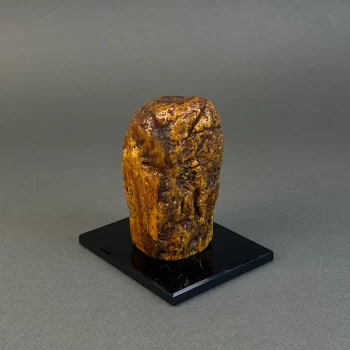 Amber piece 369 g 2