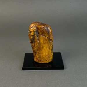 Gintaro gabalas 369 g 3