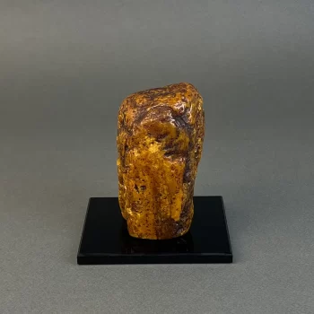Amber piece 369 g