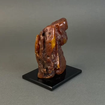 Amber piece 399 g 2