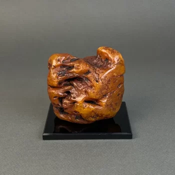 Amber piece 416 g