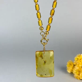 Expressive clear amber shoe necklace with pendant with two inclusions 2