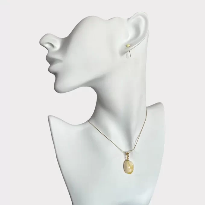 Stylish set of landscape amber earrings and neck pendant with natural gouge 2