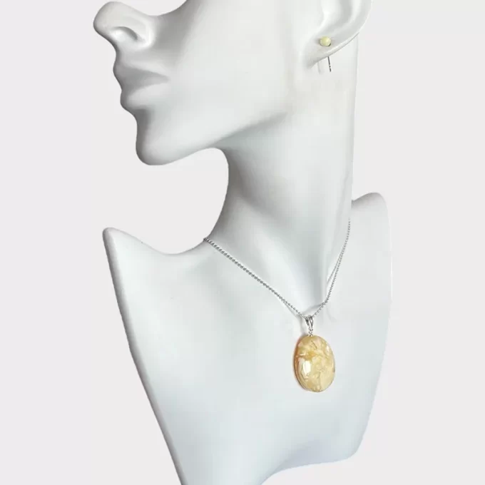 Stylish set of landscape amber stud earrings and oval necklace 3
