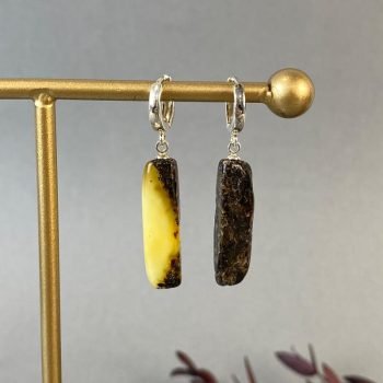 Dailūs ir stilingi pailgų formų margo gintaro auskarai