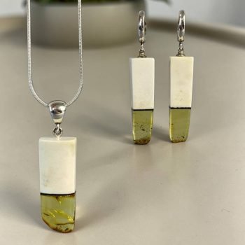 Modernus briedžio rago ir skaidraus medaus gintaro auskarų ir pakabuko rinkinys(3)