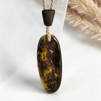 Įspūdingas ovalo formos margo gintaro kaklo pakabukas (3)