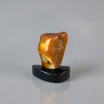 Išskirtinis gintaro grynuolis