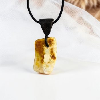 Stilingas margo gintaro su juodojo ąžuolo detale pakabukas